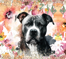 Load image into Gallery viewer, Dog • Pitbull
