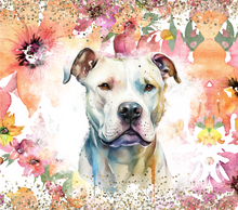 Load image into Gallery viewer, Dog • Pitbull
